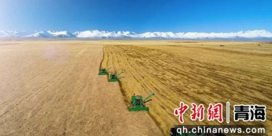 贵州迎战青海，双方实力均衡，谁能取胜？