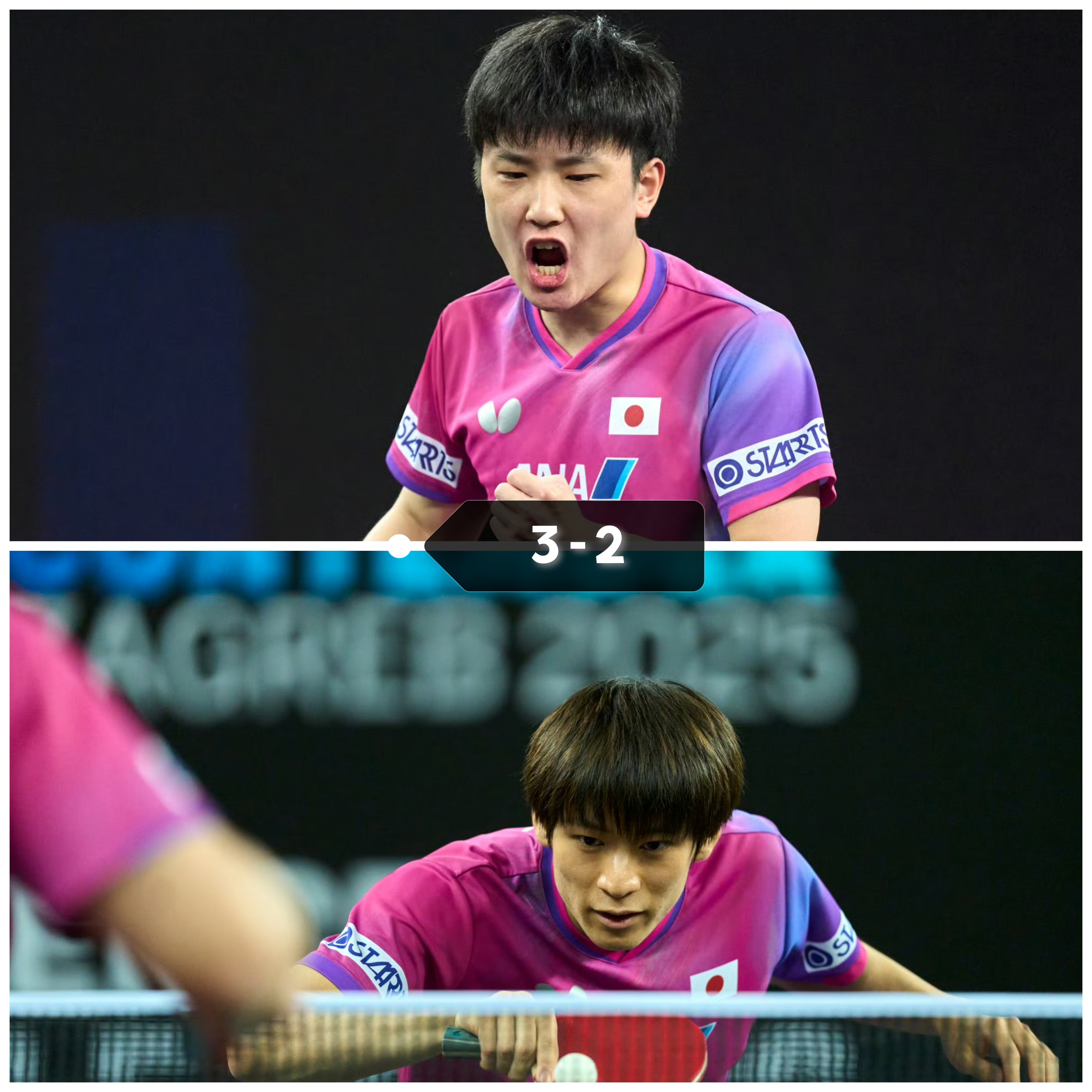 葡萄牙队完胜日本队,张本智和带队取胜 葡萄牙队完胜日本队,张本智和带队取胜